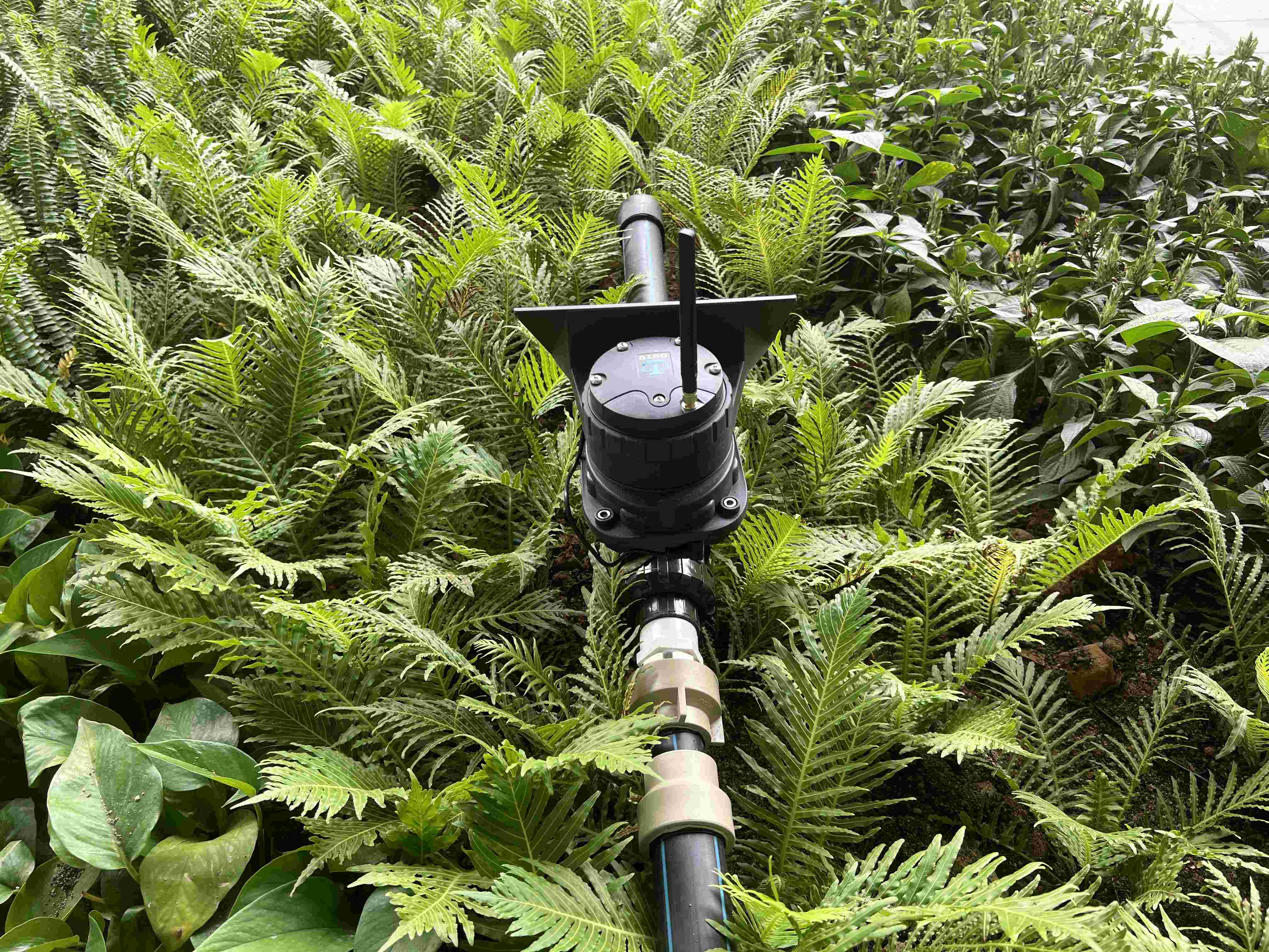 Sistema automático de controle de irrigação de caixa para paisagismo