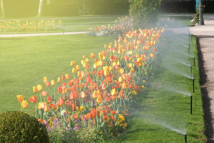  Irrigação do Jardim do Parque 