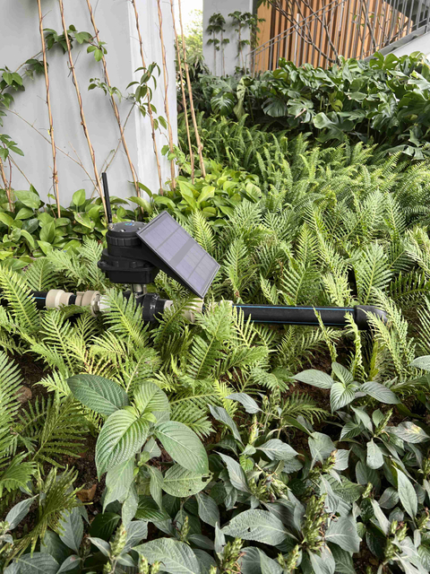 Temporizador automático de água para irrigação de fazenda de kiwi com energia solar