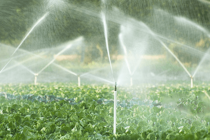 Irrigação por Aspersão de Base Vegetal