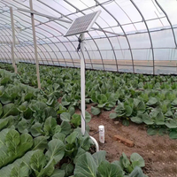 HEBEI - Greenhouse 