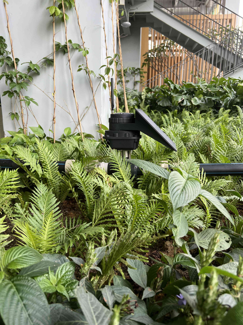 Monitoramento e controle em tempo real da irrigação da fazenda com Lora 